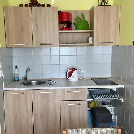 Haasova Maison d'hôtes Harrachov
