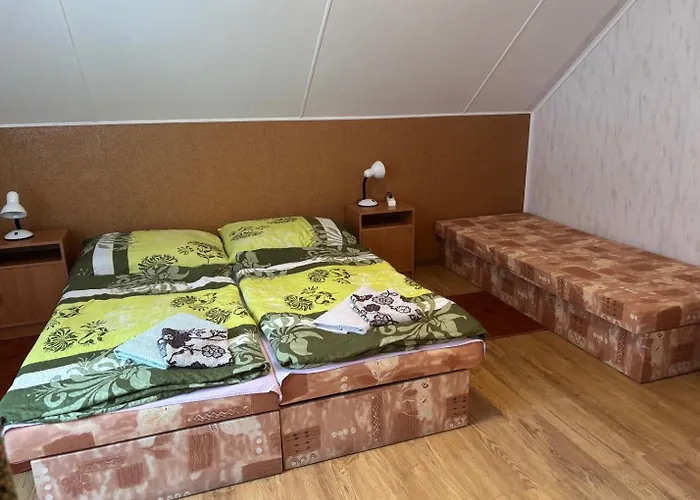 Haasova 3* Harrachov